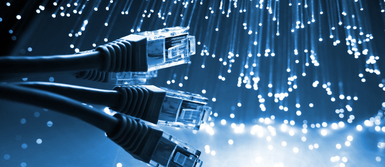 Network cables and fiber