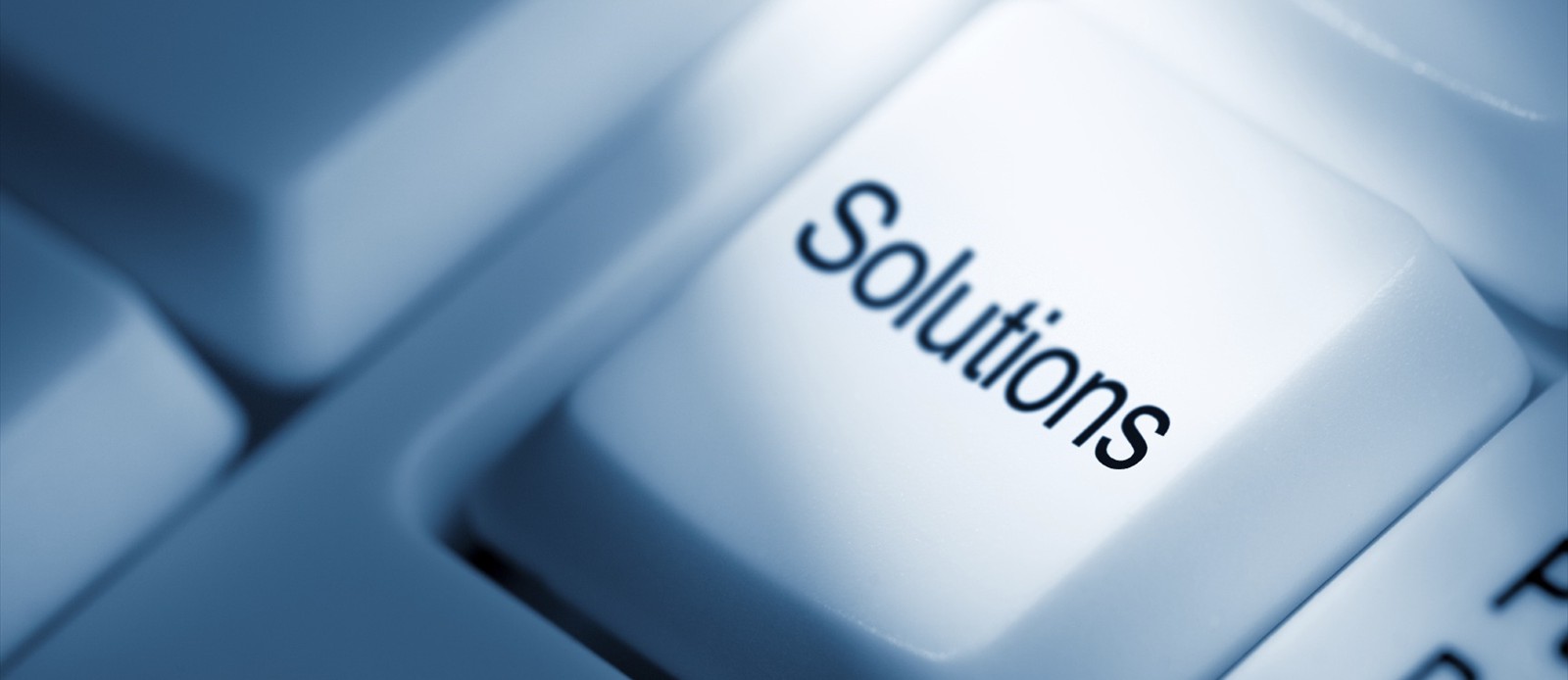 Solution Provider